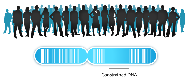 ccr overview