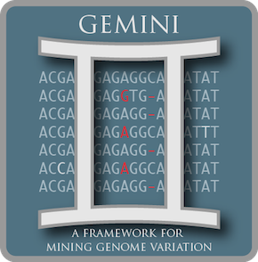 gemini.png