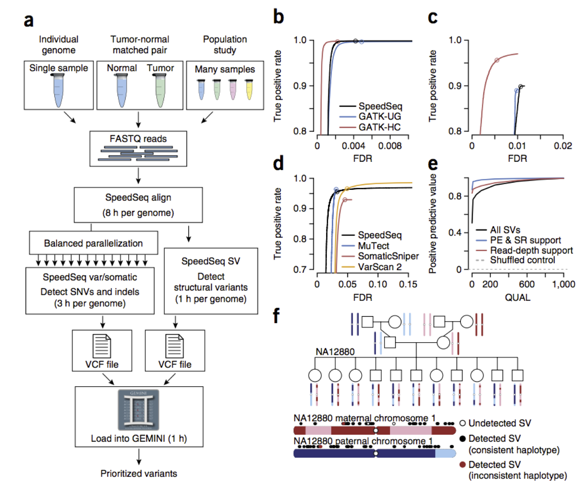 speedseq.png