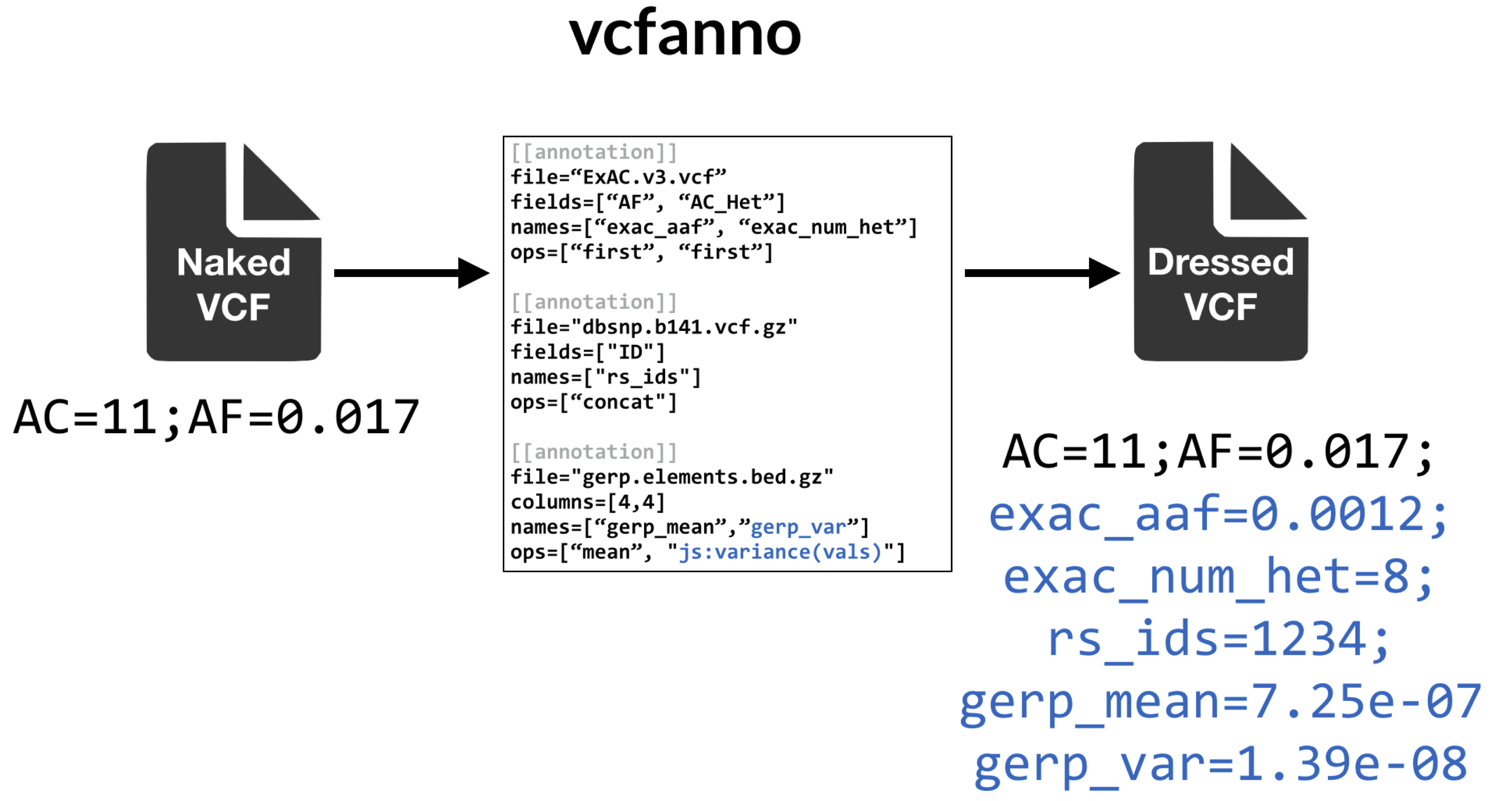vcfanno.png
